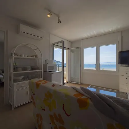 Inmosantos Oasis A2 * Roses